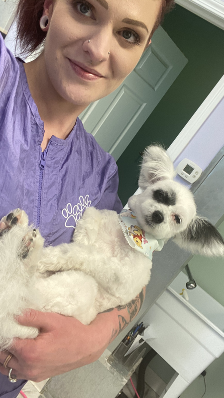 Freshly groomed dog at Marvellous Muttz #35